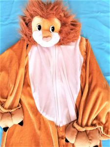 Kids Costumes to Hire - Lion Child Onesie